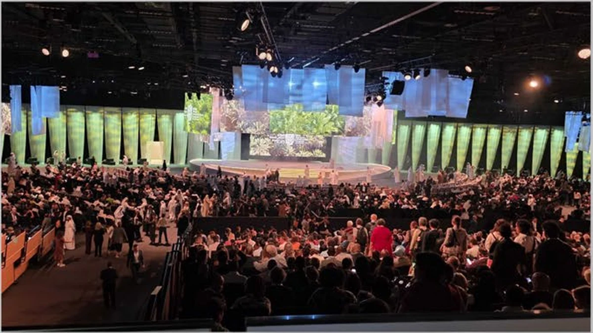 IUCN World Conservation Congress, 2025 project